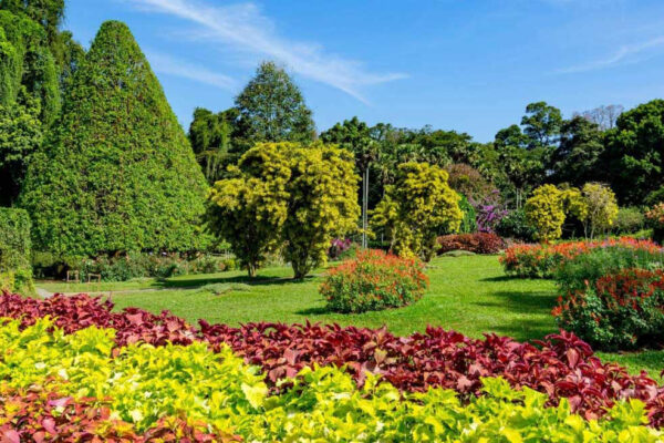 botanical-hotspots-of-sri-lanka-800-x-500